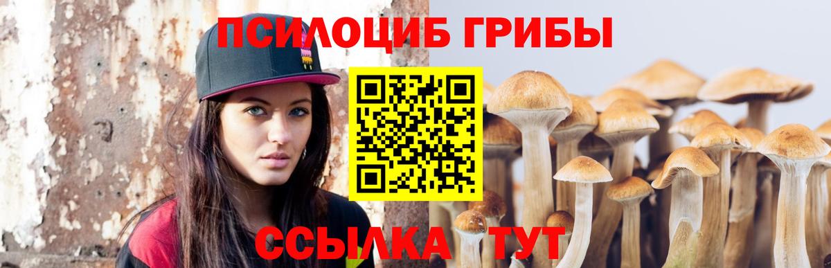Галлюциногенные грибы Psilocybine cubensis  где купить наркоту  Псилоцибиновые грибы ЛСД  Радужный  Вход с VPN 